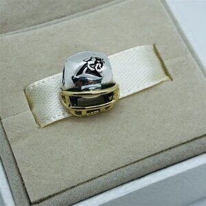 🧜🏾‍♀️🎀Pandora Carolina Panthers Charm Football Helmet Charm